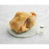 Chapon fermier jaune du Gers Label Rouge 3,5kg environ