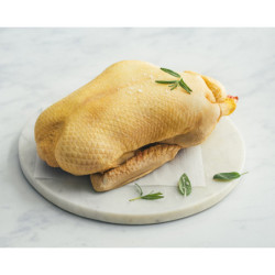 Canette entière 1,7kg environ