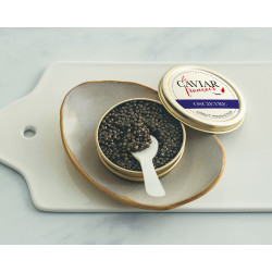 Caviar Oscietre 50g